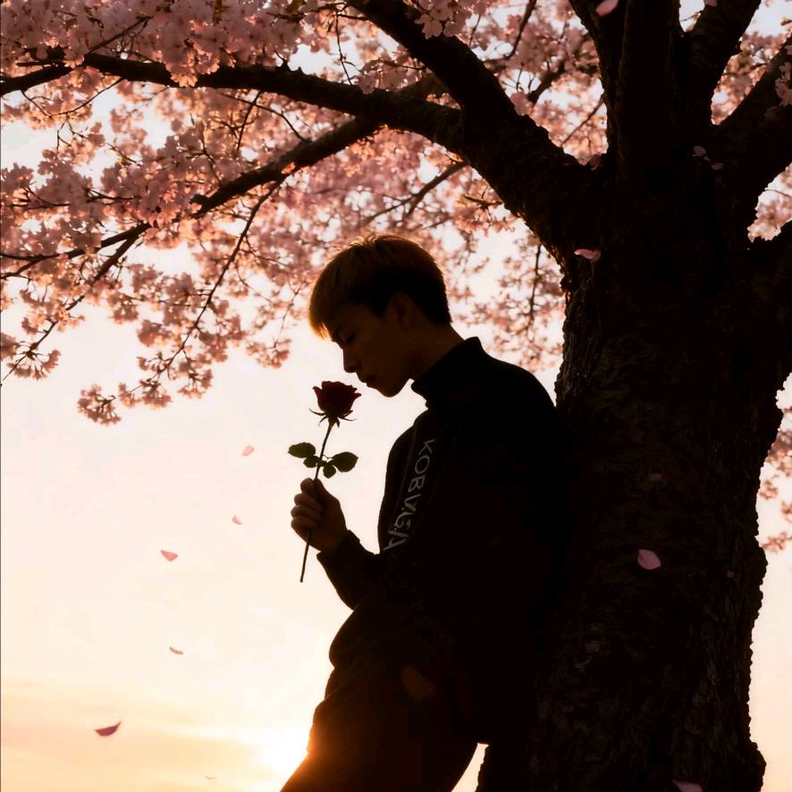 烈酒敬余生ꦿ᭄