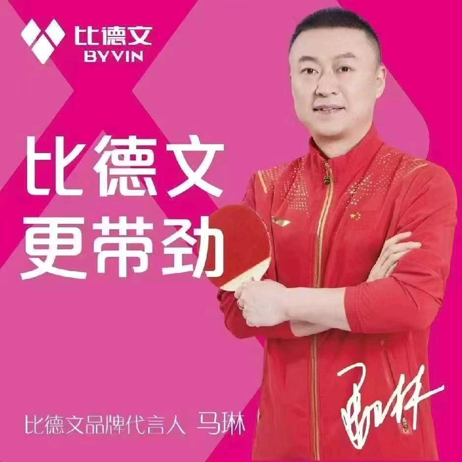 德州平原官道小区比德文电动车