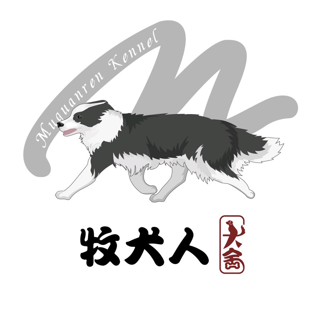 牧犬人高端边牧犬舍
