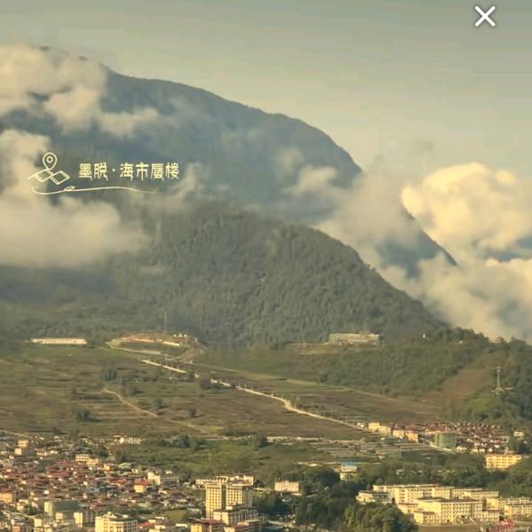 悠悠