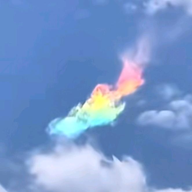 润己珠