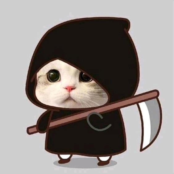 可七
