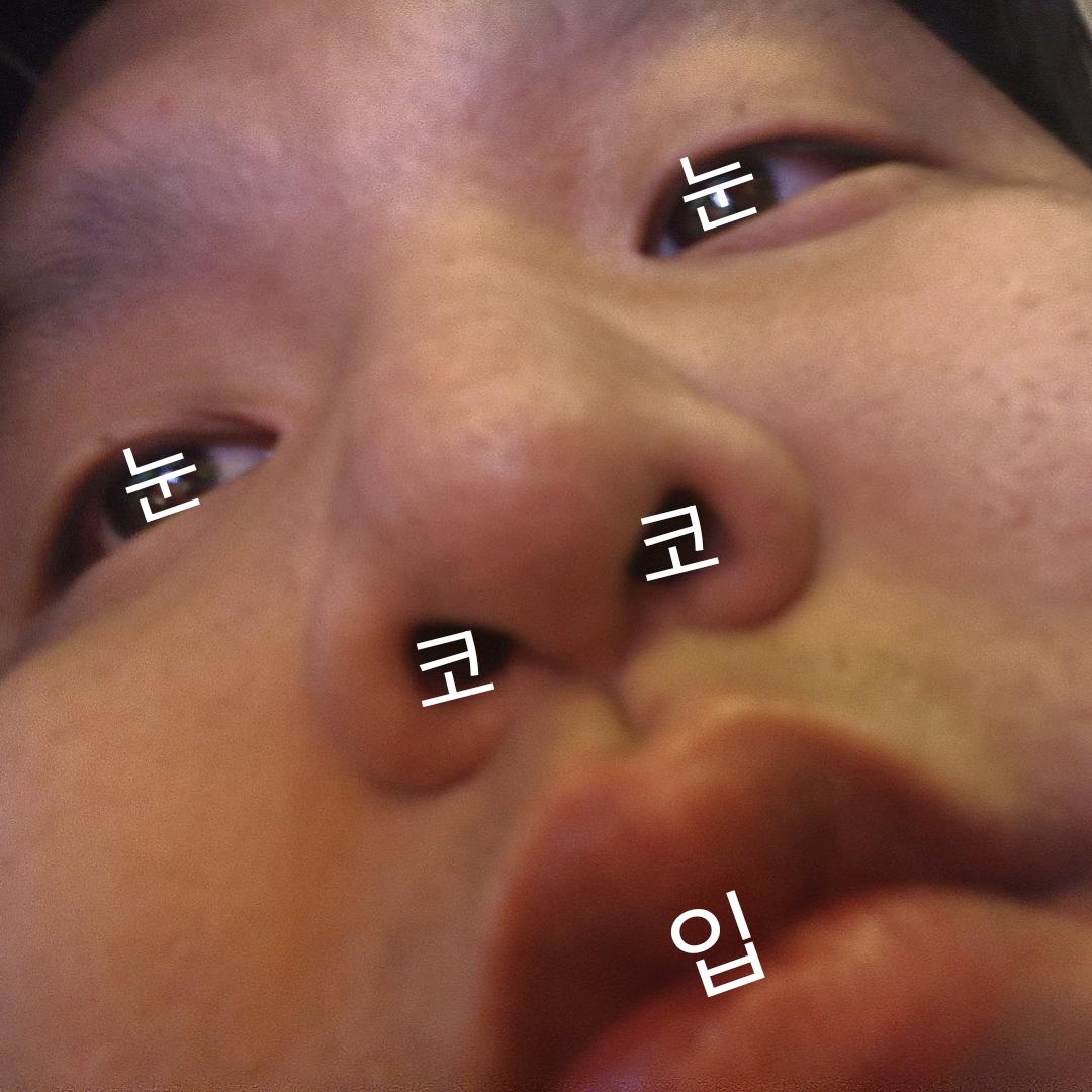 닭