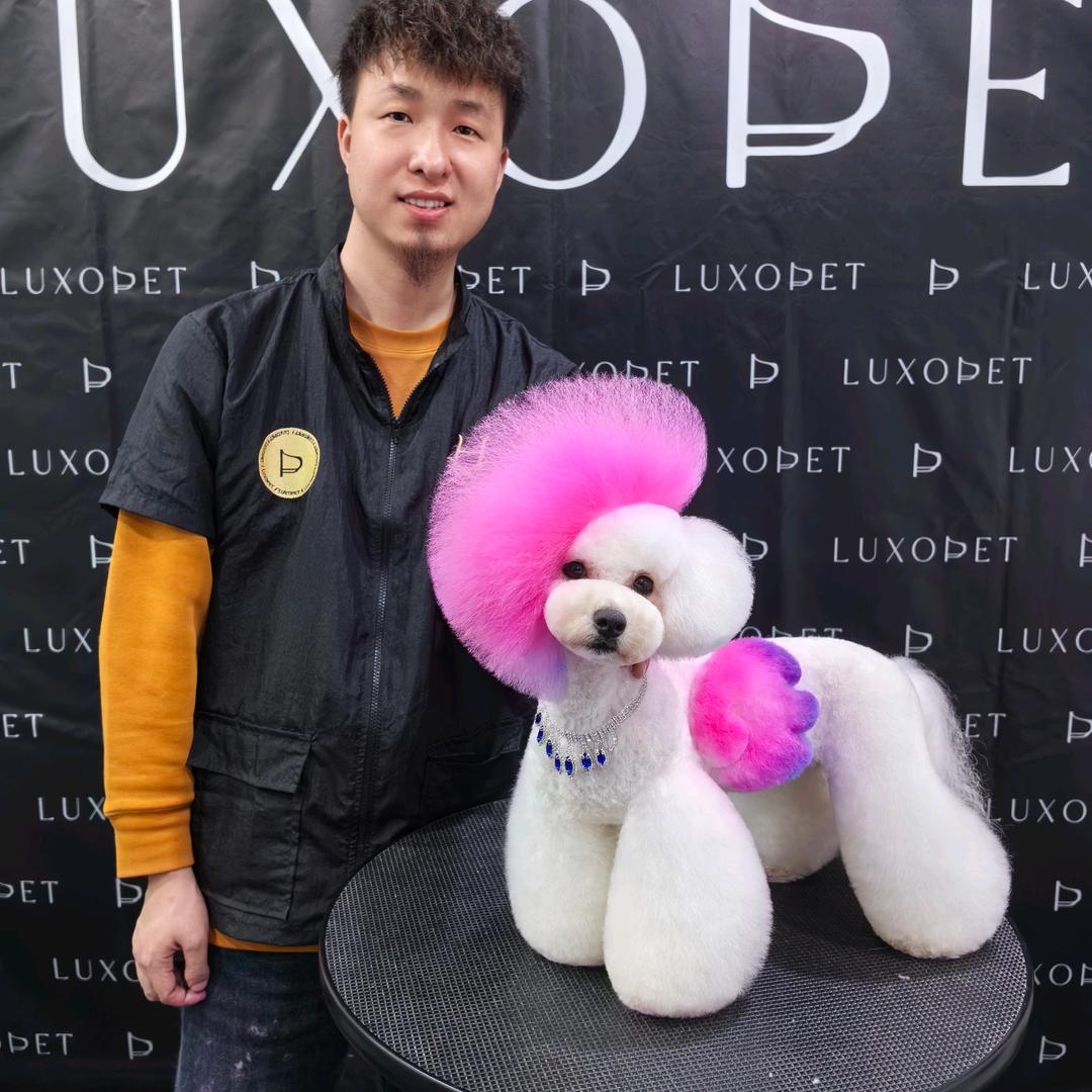 长沙三生石宠物美容培训