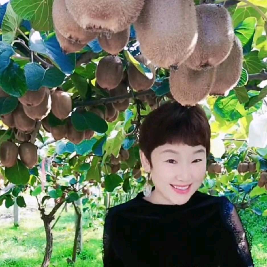 暖羊羊