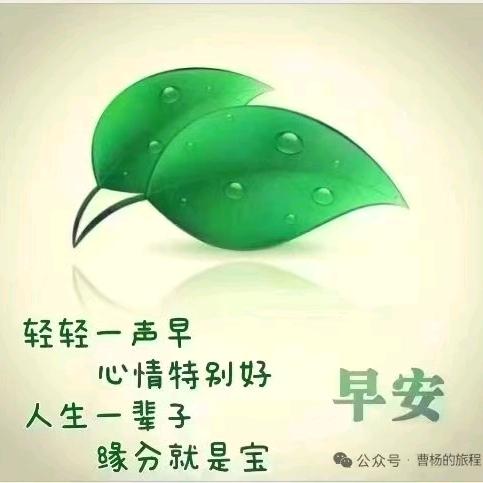 丫Y