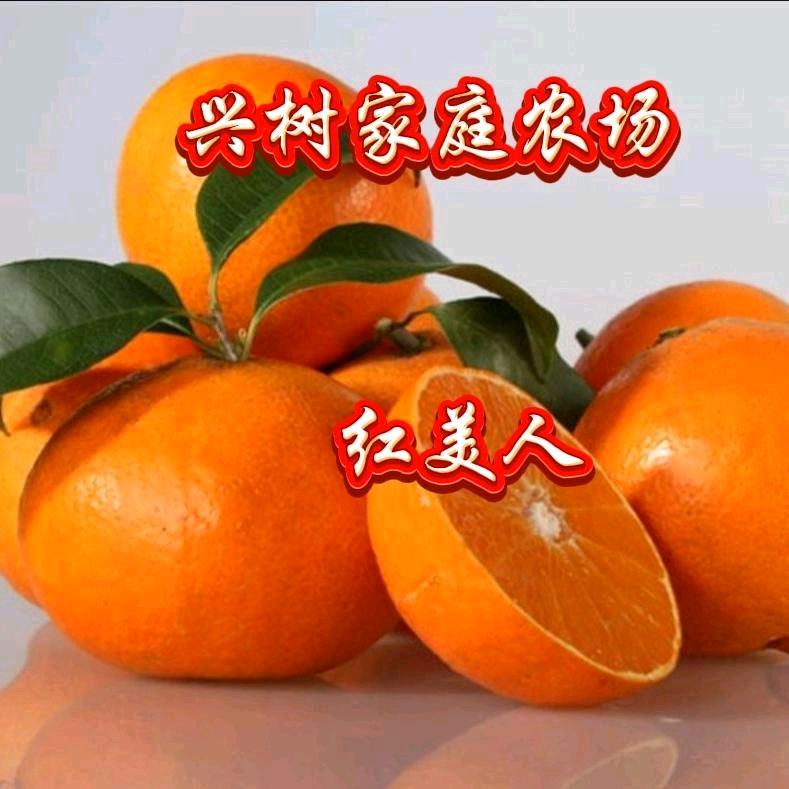 兴树家庭农场（梨澜岗）