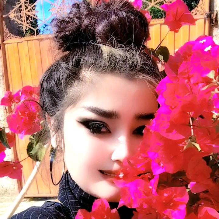 🍁tanha