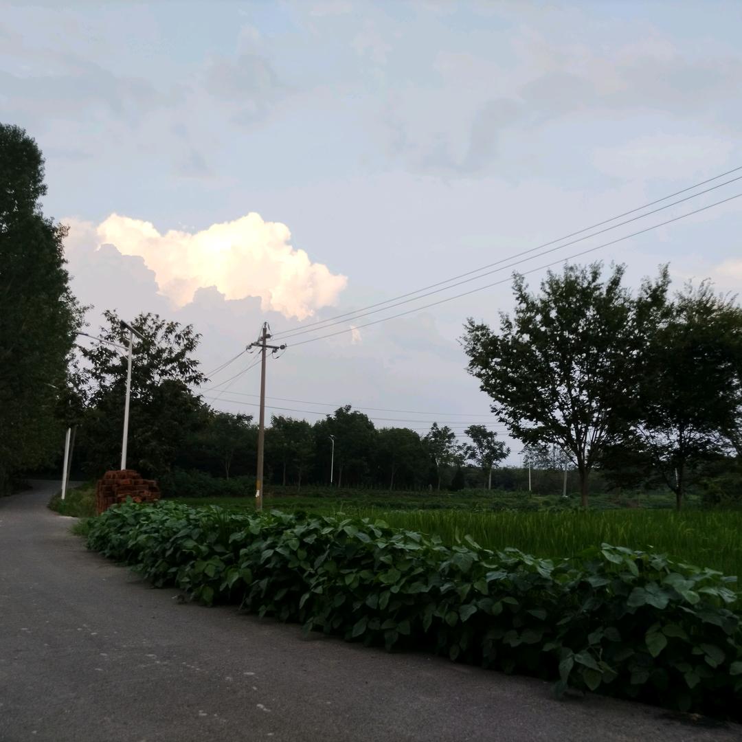 余额充值