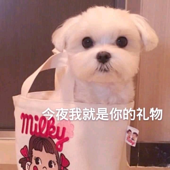 。。？，