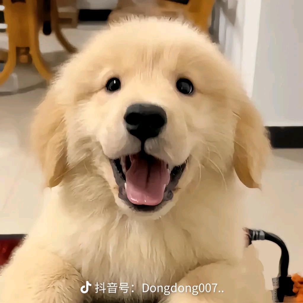 微微一笑很倾城