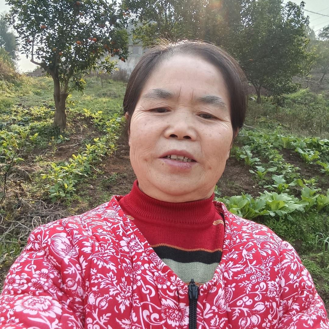 金姐