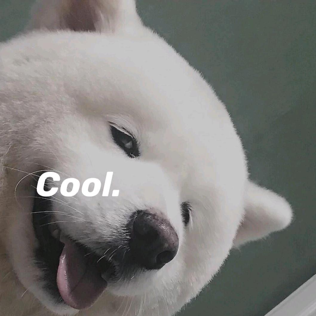 6569