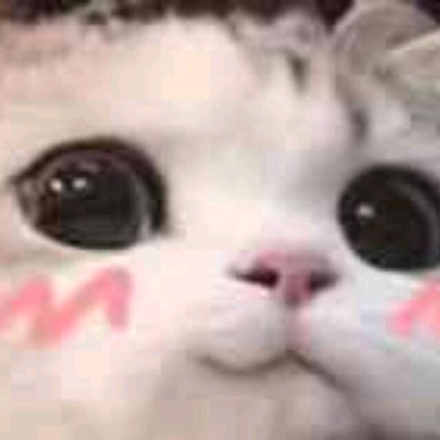 20岁还没有存款一亿