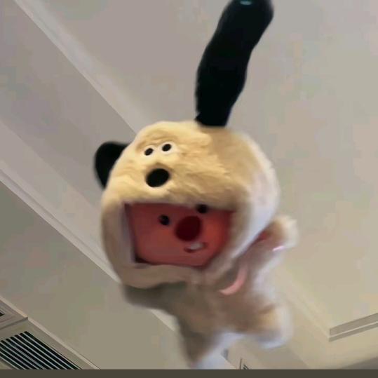 冷番秋