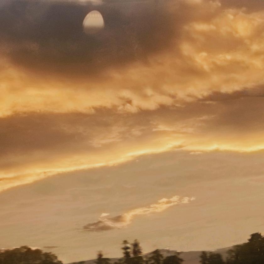 专业逗狗人   祝吉成