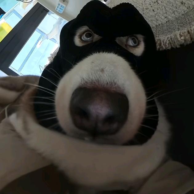 早睡早起干饭香