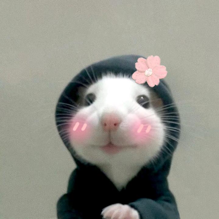 芊芊的小甜饼💜