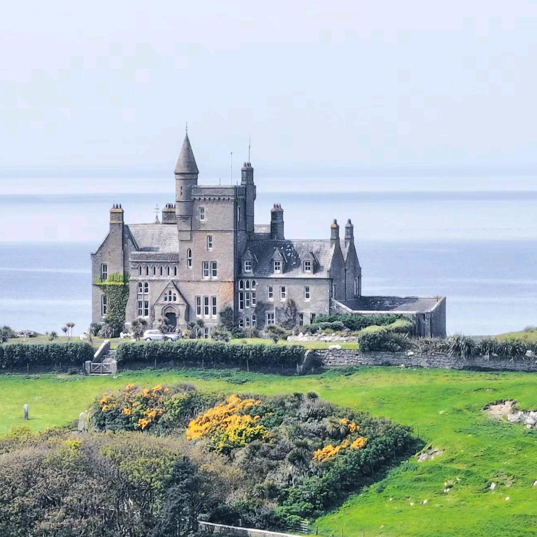 我是西柚001(✧∇✧)