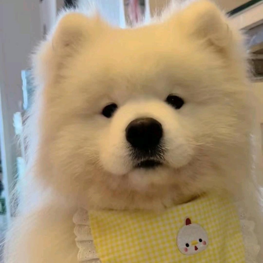 天蓝色