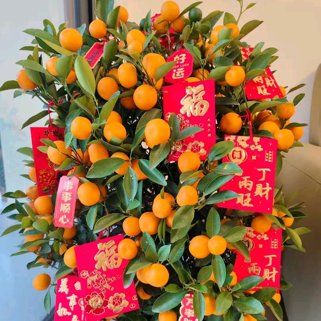 红苹果🧡ྀི💛ྀི❤️ྀི