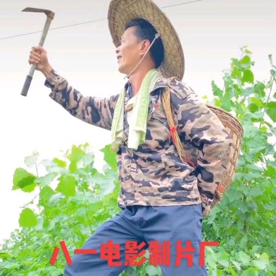 政叔(乡下土特产)