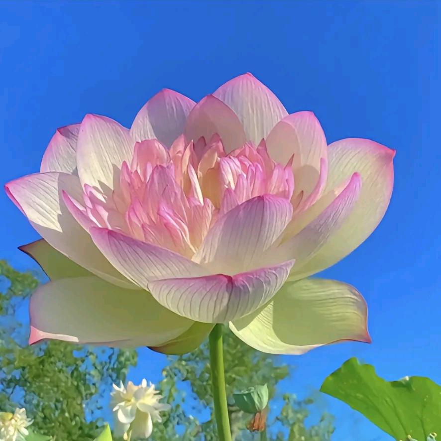 幸福美满