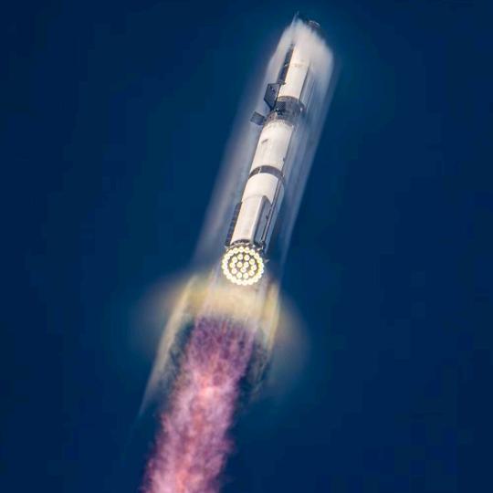 我的两个可爱孩