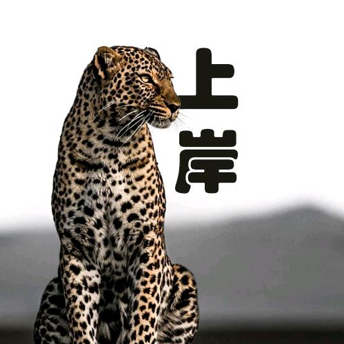 考编老李