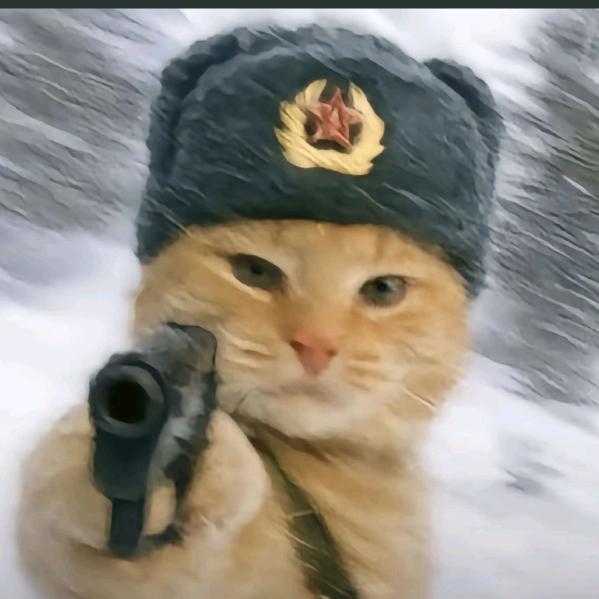 风车车