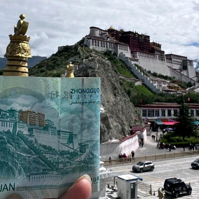 西北双伟团队（二鹏）