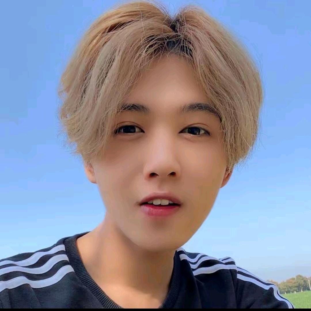鹿哈的直播间