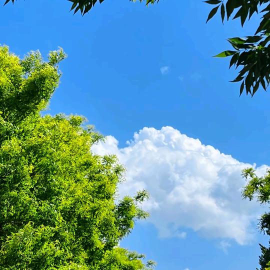 天♛空