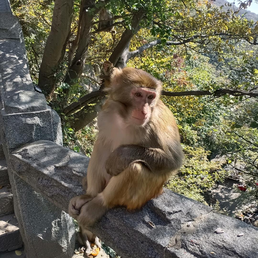 十笔长安瓜果蔬菜代理商