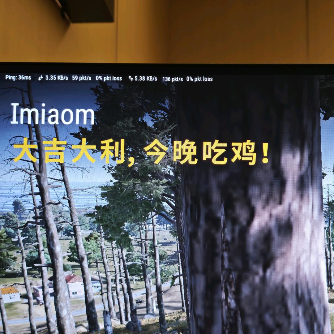 格致干饭版啊雯