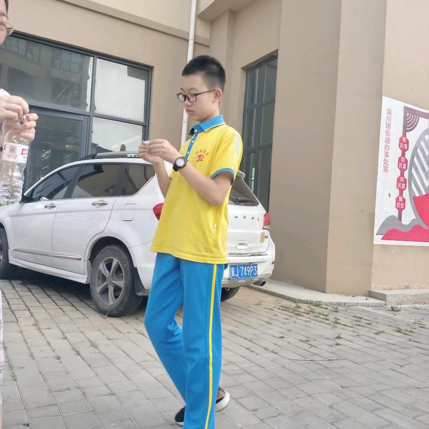 青县观赏钢哥