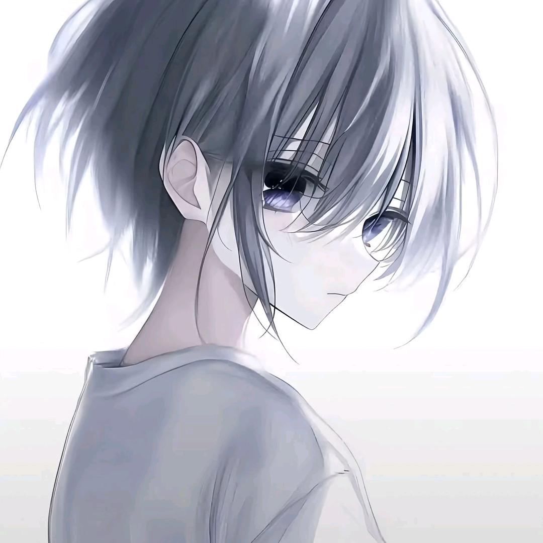 辰崽
