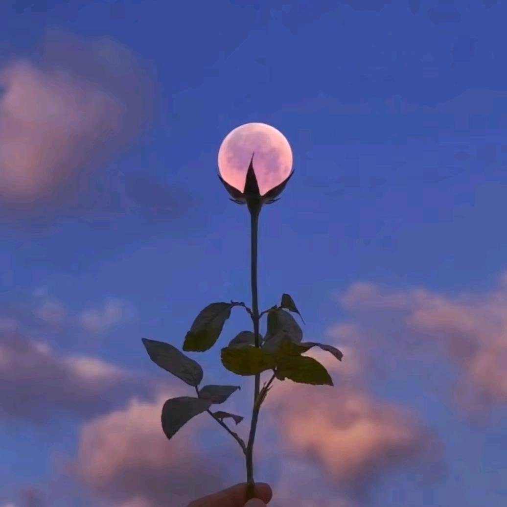 顽童