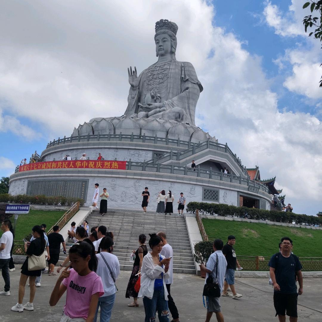 看破红尘自收心，单身