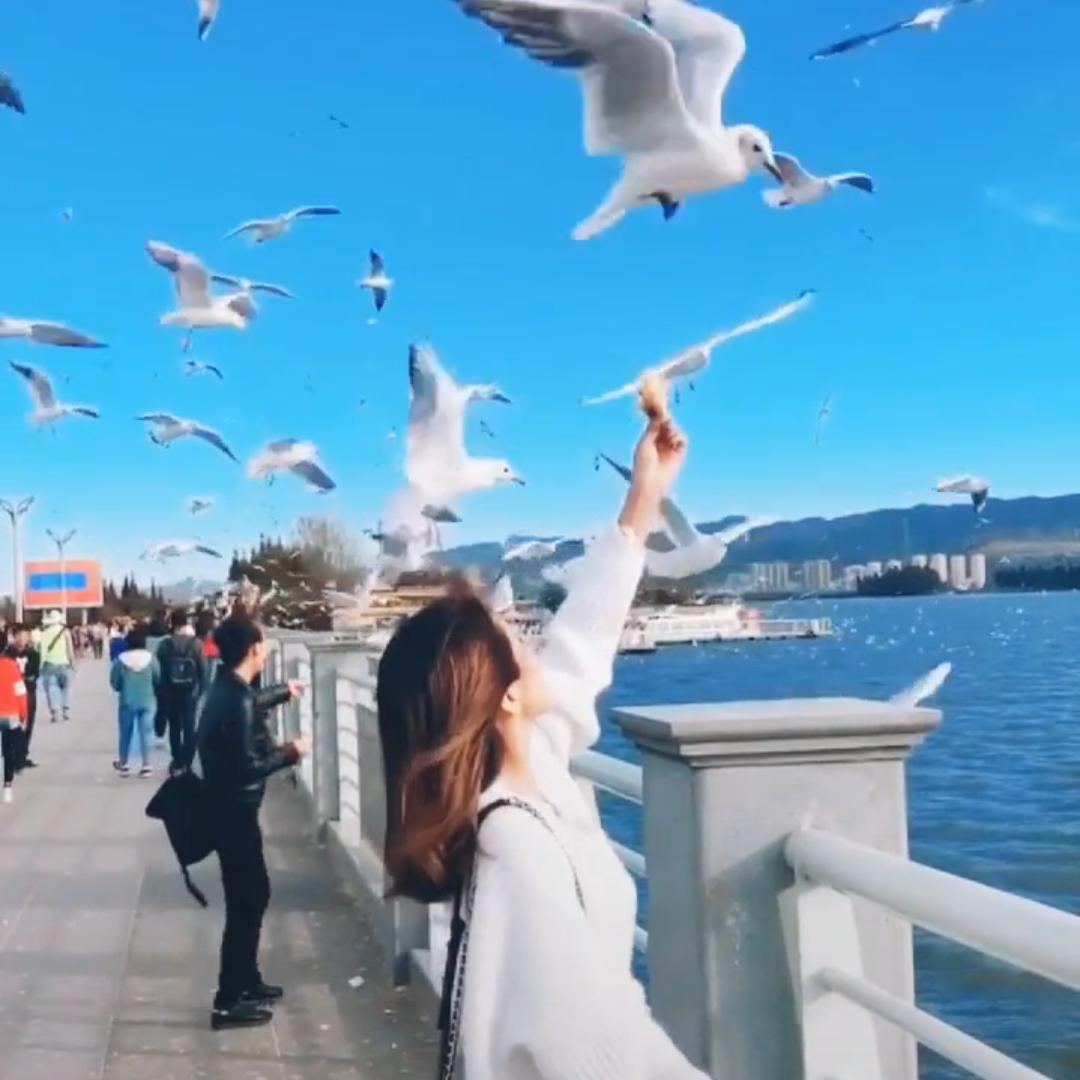 @华子♞