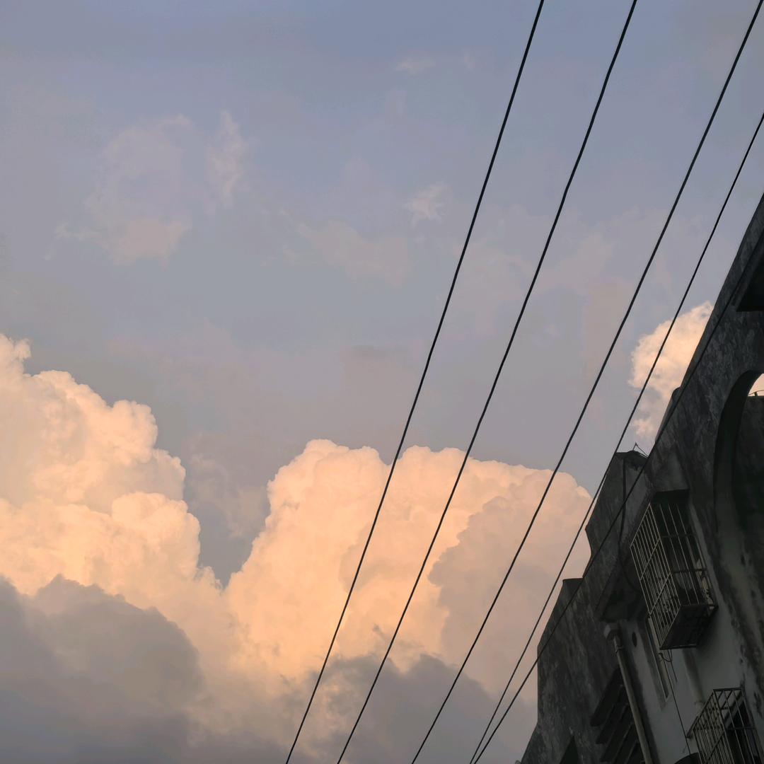 大鹅快到锅里来