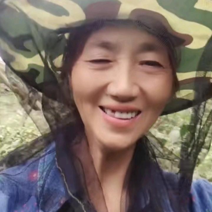 菊菊