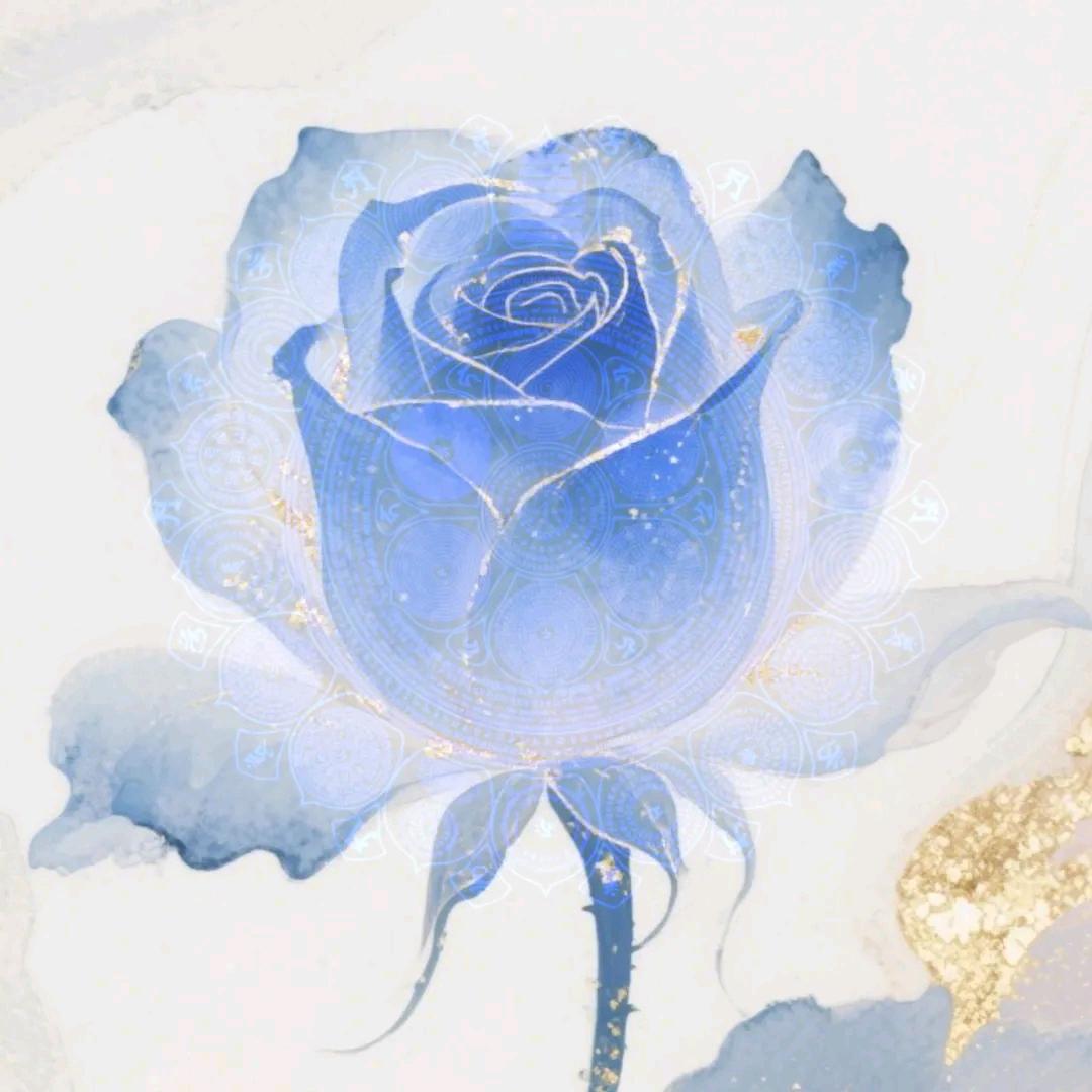 正能量这里主力