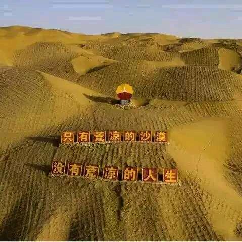 苏同学世界