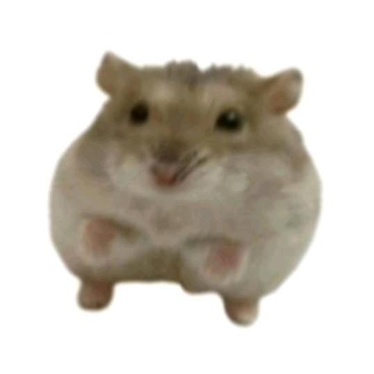 愛してる