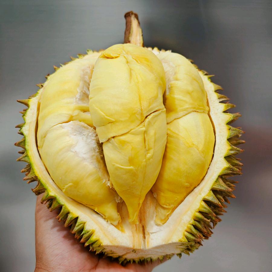 鲜果达榴莲专场
