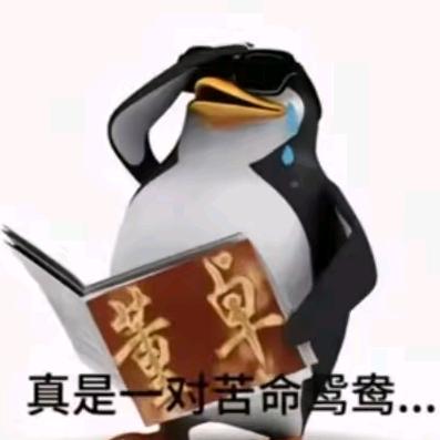 野蔷薇