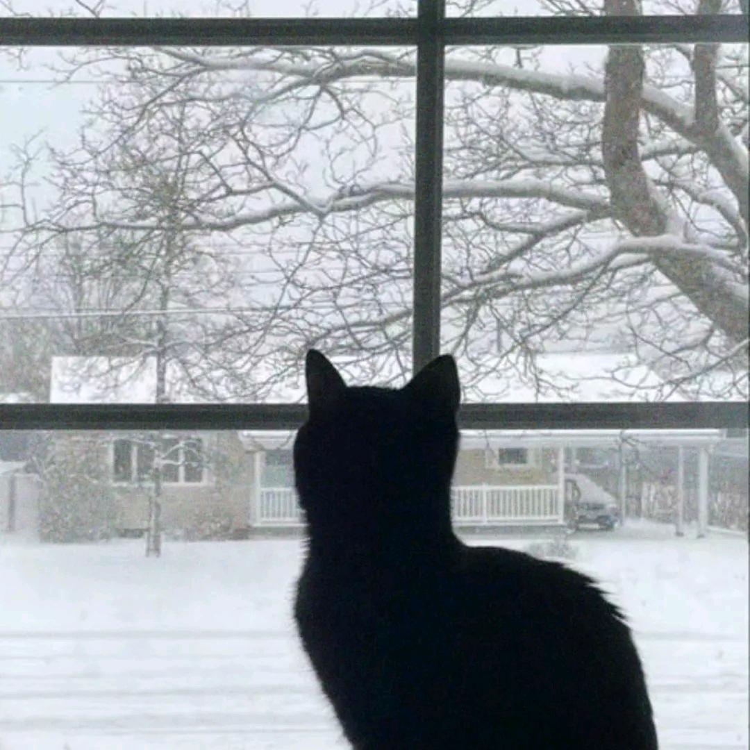 雨天也是好天气