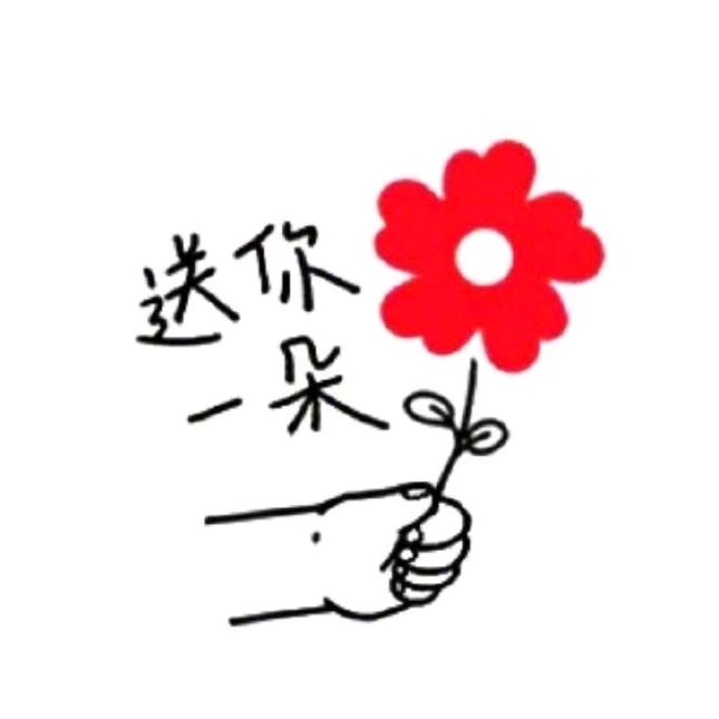 谢谢您的关注