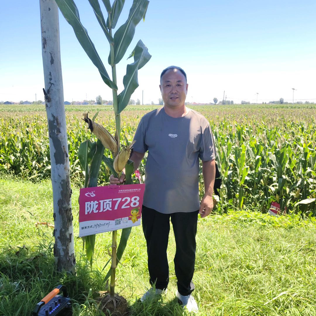 老古种子测试站